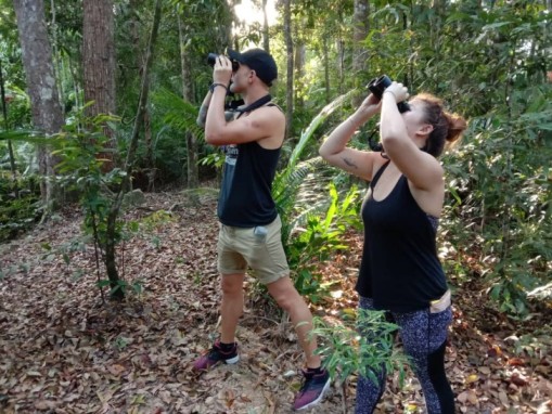 Desaru Bird Watching